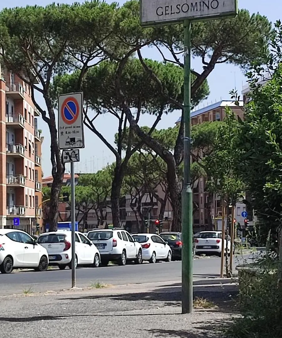 Vatican City San Peter Quiet And Lovely Apartment Rome Italy